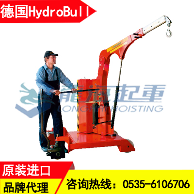 HB800GS100FaPo德国工业起重机,带旋转臂式起重机