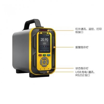 原装博特防爆现场空气监测仪BT600-6-C