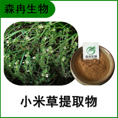 森冉生物 小米草提取物 小米草浓缩粉 比例提取原料粉