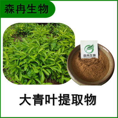 森冉生物 大青叶提取物 臭大青提取物 比例提取原料粉