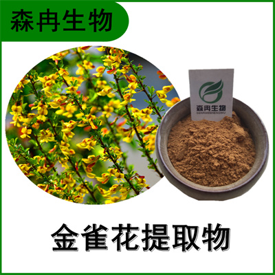 森冉生物 金雀花提取物 金雀儿提取物 比例提取原料粉