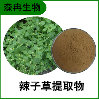 森冉生物 辣子草提取物 牛膝菊提取物 比例提取原料粉