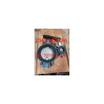 原装正品直销价格优惠德国依博罗厂家直销手柄蝶阀Z011-A