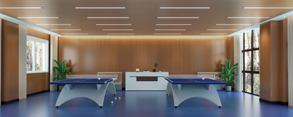 北京效果图制作|篮球场|羽毛球场|乒乓球场效果图渲染